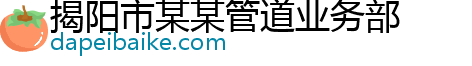 揭阳市某某管道业务部